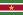 23px-Flag of Suriname.svg-1-.png