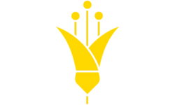 Kowhai Logo 2023.png