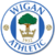 Wigan Athletic.png