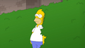 Homer Simpson (Coma Guy).png