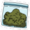 The Quest for Stuff icon oregano.png