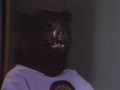 The Bear.png