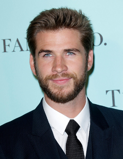 Liam Hemsworth.png