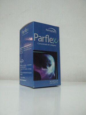 Parflex G 3250.jpg
