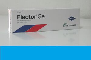 Flector G 2818.jpg