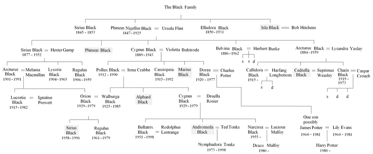 Black Family Tree.png