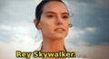Rey-skywalker-meme.jpg
