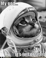 Astronaut-kitteh.jpg
