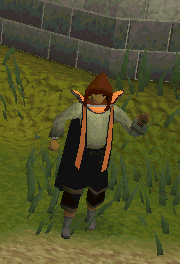 A player performing the Dungeoneering cape melee emote.