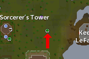 Sorcerers tower elder.png