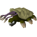 Warped tortoise.gif