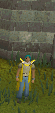 A player performing the Prayer cape emote.
