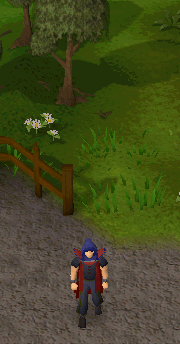 A player performing the Agility cape emote.