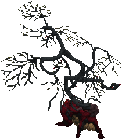 Bloodwood tree.png