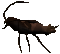 Cockroach drone.png