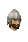 A detailed image of Sir Vyvin's squire.
