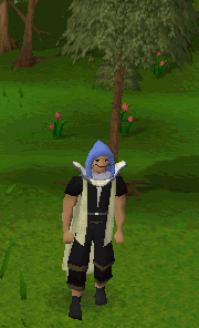 A player performing the Defence cape emote.