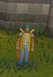A player performing the Crafting cape emote.