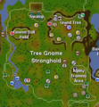 Treegnomestronghold.png