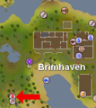 Brimhaven dungeon pos.png