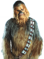 Chewie-What is a Wookiee.png