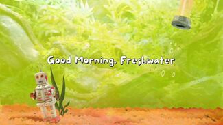 Click here to view more images from Good Morning, Freshwater.