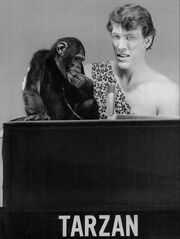 Ted Cassidy Cheeta Storybook Squares 1969.JPG