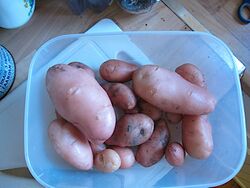 Desiree potato.jpg