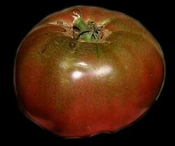 Tomato Cherokee Purple Fruit.jpg