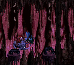 Dkc-rambi-other-levels.png