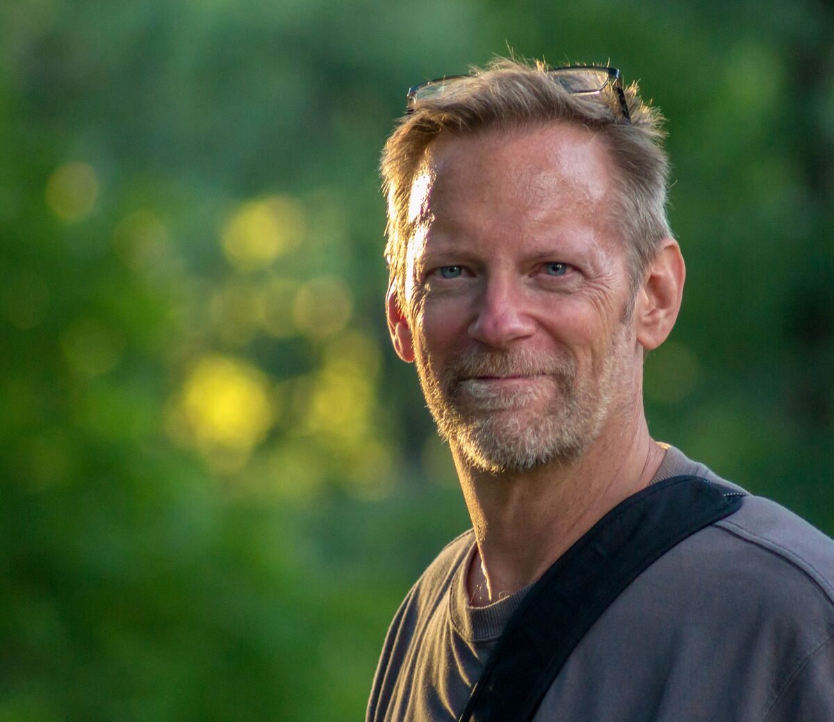 Ted Jensen Green Day Wiki