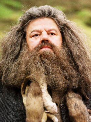 Rubeus Hagrid.PNG