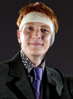 Charles Weasley, Harry Potter Wiki