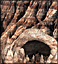 Stronghold Cyclops Cave.gif
