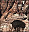 Stronghold Upg. Cyclops Cave.gif