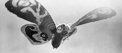 Mothra-13.jpg