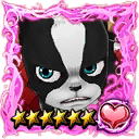 (6★) Iggy (Fighting Spirit) icon.png