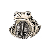 Frog Mask None R small.png