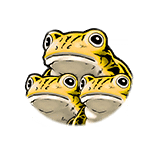 Frog Triple Normal White small.png