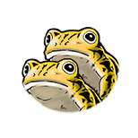 Frog Double Normal White small.png