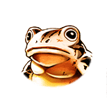 Frog Big Normal Gold small.png
