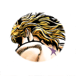 DIO (Shadow) small.png