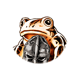 Frog Mask Gold SR small.png