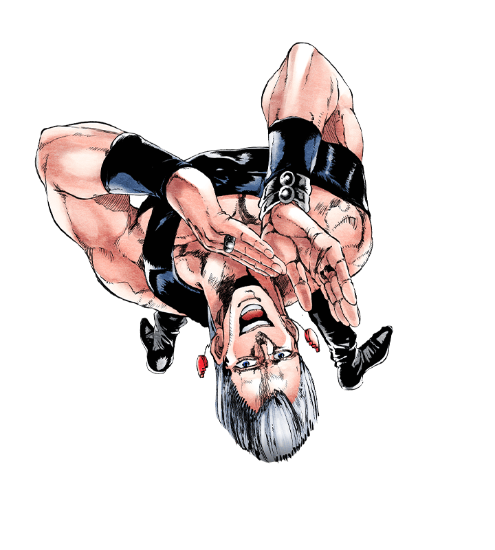 Unit Jean Pierre Polnareff (Bravo).png