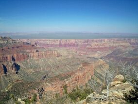 View of the North Rim of the Grand Canyon