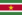 Flag of Surinam.png