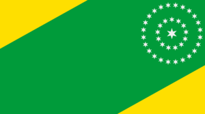 Flag of East Amazonas.png