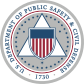 US-US seal-Department of Public Safety and Civil Defense-30stars-colors(DHS).svg