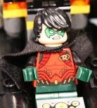 Nytf-76034-robin.jpg