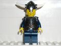 Viking Warrior 1a.jpg